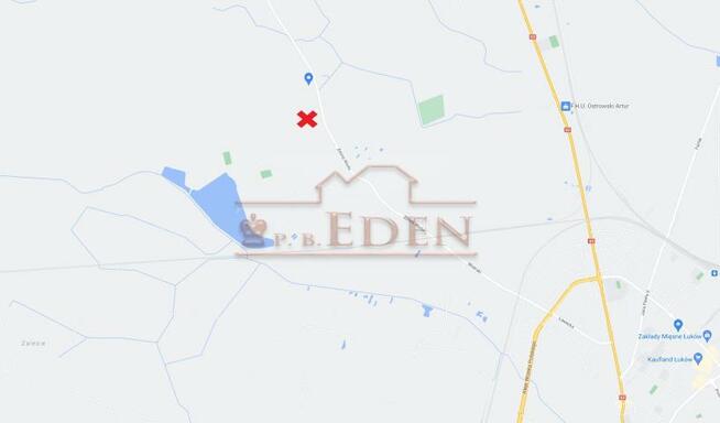 Działka leśna Łuków Zimna Woda