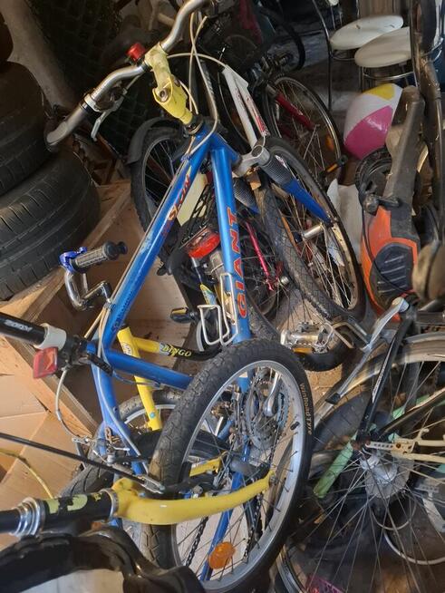 Rowery różne ranio