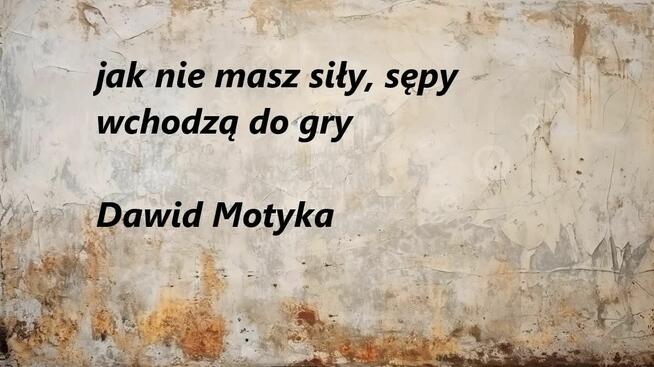 Do poważnego związku poszukiwany...