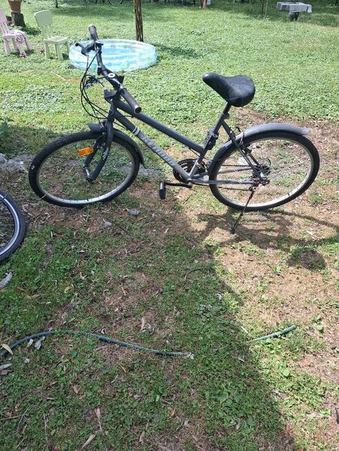 Rowery różne ranio