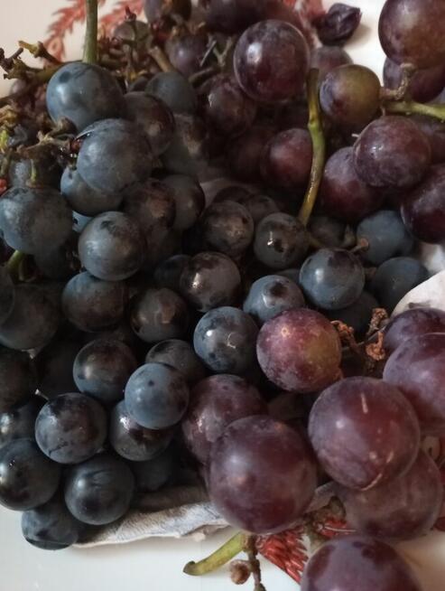 Koleżeństwo, przyjazn , potem ...