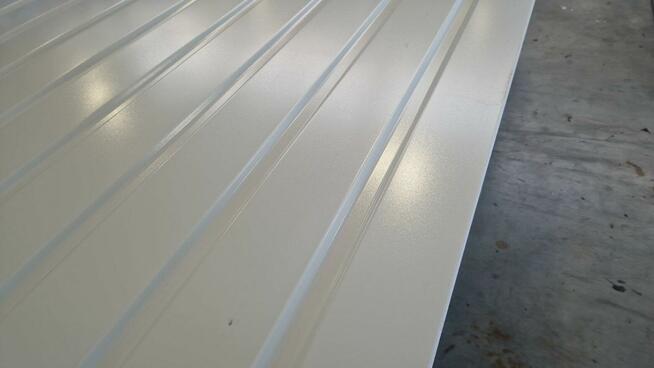 Blacha 2 gatunek - Kolor Biały (RAL 9010p) Niski Profil