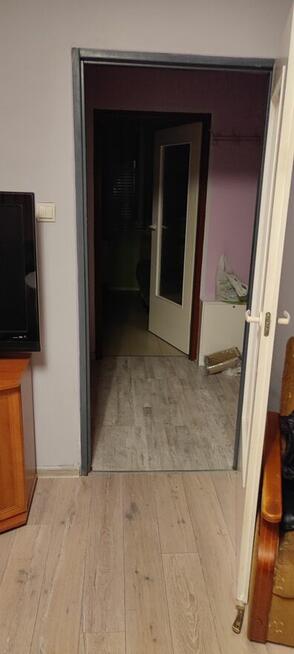 kawalerka do wynajęcia