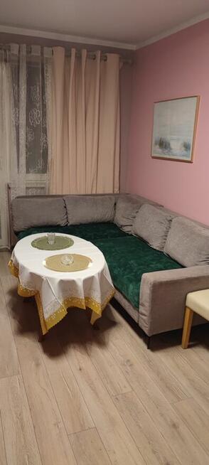 kawalerka do wynajęcia