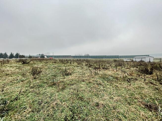 Działka budowlana Ignacówka gm. Jędrzejów,