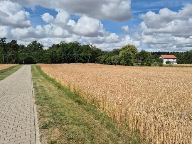 Atrakcyjna działka Radzyny/gm. Kaźmierz, Szamotuły, 32km od Poznania