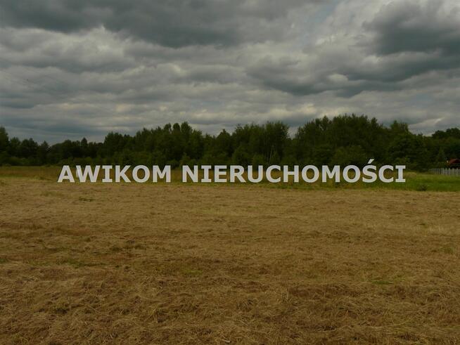 Działka budowlana Puszcza Mariańska Grabina Radziwiłłowska