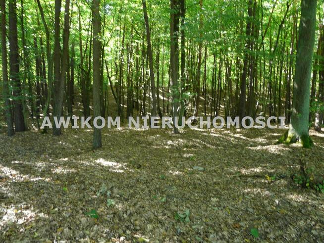 Działka rolna Ziemiary gm. Bolimów