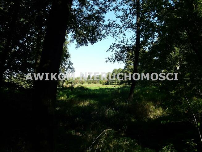 Działka rolna Ziemiary gm. Bolimów