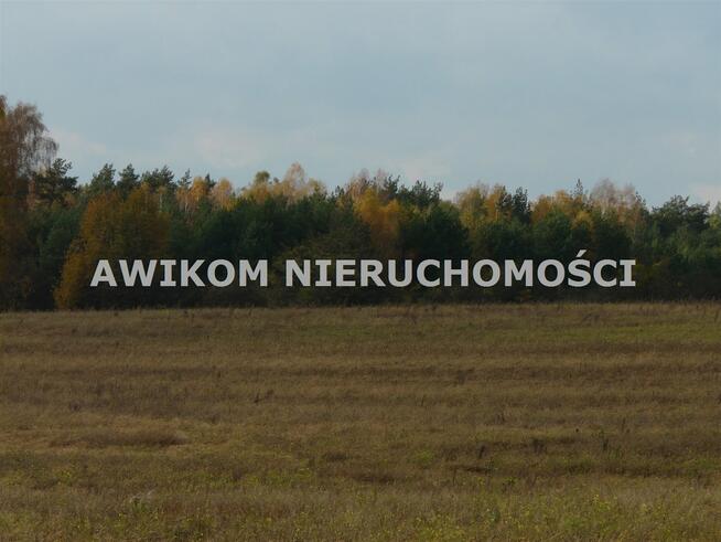 Działka rolna Puszcza Mariańska Wycześniak