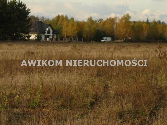 Działka rekreacyjna Puszcza Mariańska