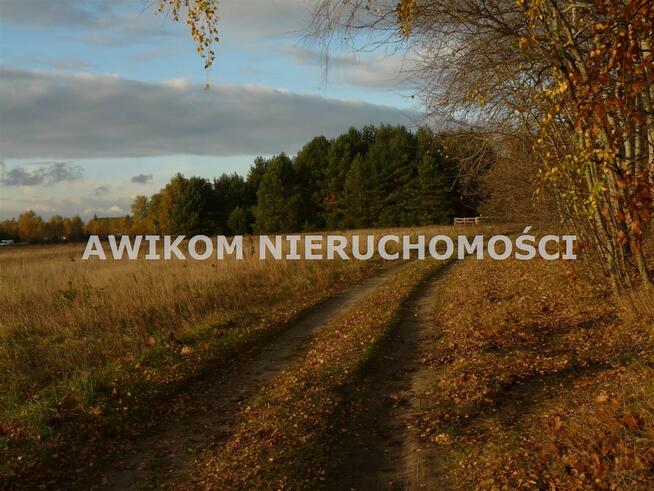 Działka usługowa Puszcza Mariańska