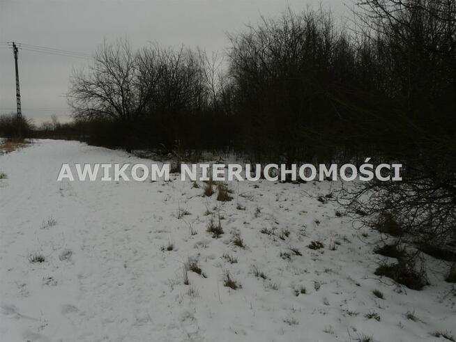 Działka rolna Skierniewice