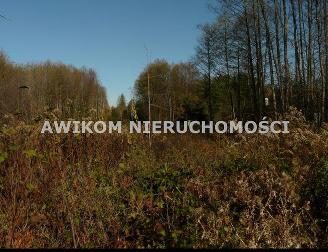 Działka rekreacyjna Budy Zaklasztorne gm. Puszcza Mariańska