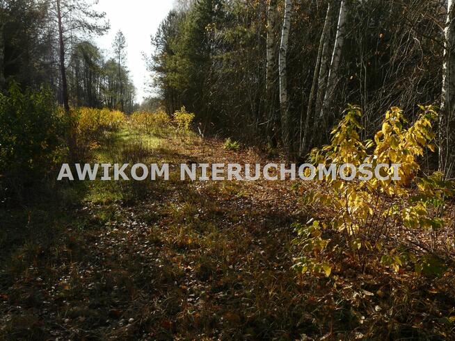 Działka rekreacyjna Budy Zaklasztorne gm. Puszcza Mariańska