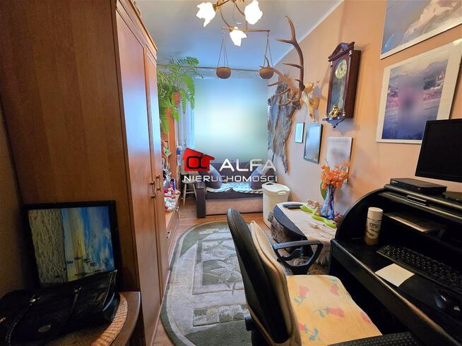 Mieszkanie Świdnica Centrum