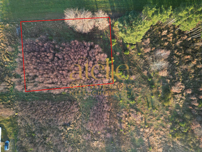 Na skraju lasu, blisko natury! Działka w Czeczewie