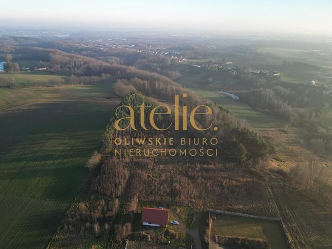 Na skraju lasu, blisko natury! Działka w Czeczewie