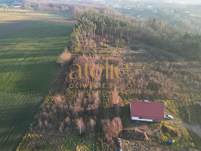 Na skraju lasu, blisko natury! Działka w Czeczewie