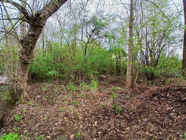 Działka budowlana Kielce Wietrznia, Wojska Polskiego