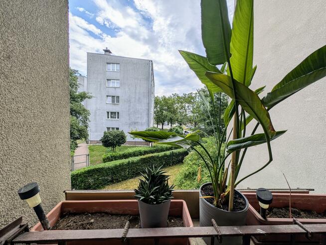 Mieszkanie Kielce Czarnów, Piekoszowska