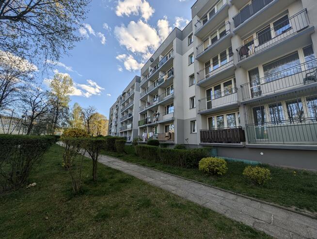 Mieszkanie Kielce Barwinek, Barwinek