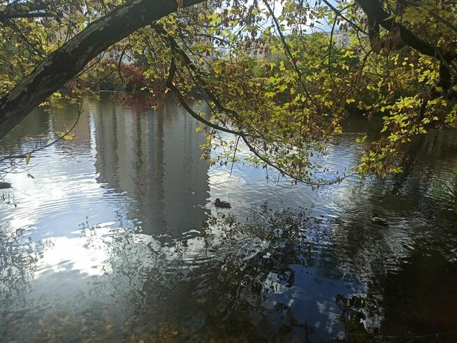 Przytulne mieszkanie 2 pokojowe