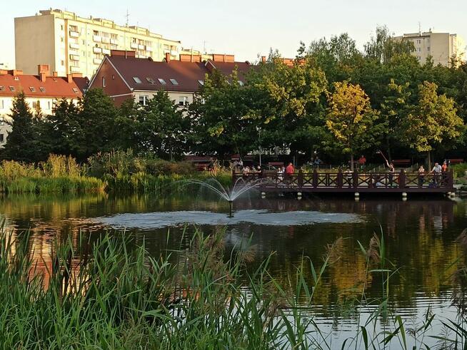 Przytulne mieszkanie 2 pokojowe