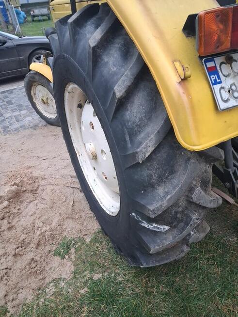 Ursus orginał zarejestrowany