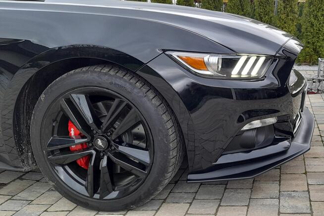 Mustang turbo, performance pack + premium pack + modyfikacje