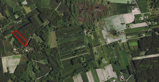 Działka leśna w miejscowości Łopacin