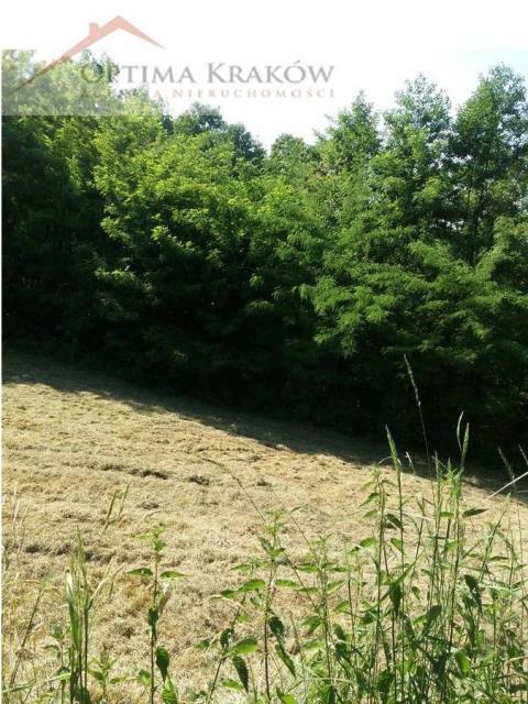 Działka rolna Kraków Bieżanów-Prokocim, Bieżanów, Stanisława Pronia