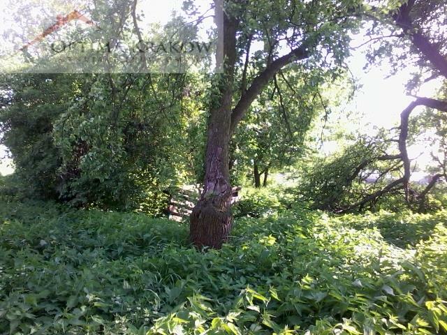 Działka rolno-budowlana Śmiłowice gm. Nowe Brzesko