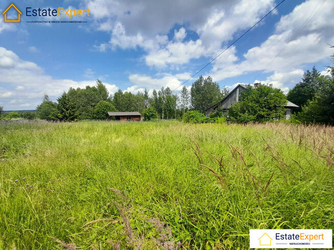 Działka budowlana w Zaleziance k/Kielc w spokojnej, pięknej okolicy