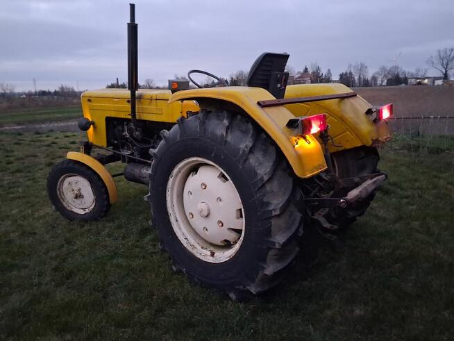 Ursus orginał zarejestrowany