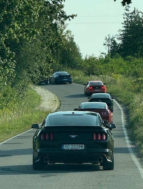Mustang turbo, performance pack + premium pack + modyfikacje
