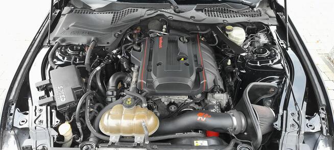 Mustang turbo, performance pack + premium pack + modyfikacje