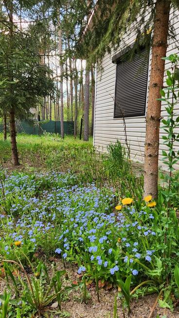 Domek letniskowy w lesie–Kania Góra/300 m od Sokolnik