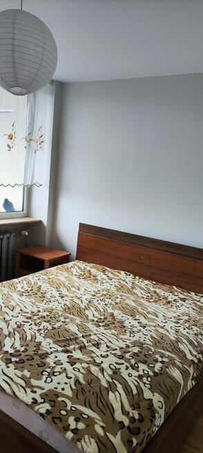 Mieszkanie do wynajęcia