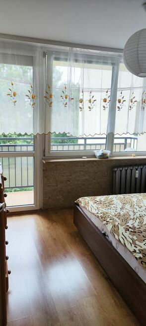 Mieszkanie do wynajęcia