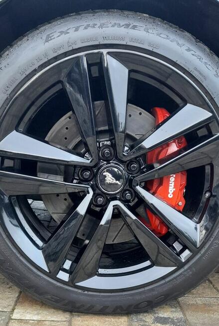 Mustang turbo, performance pack + premium pack + modyfikacje