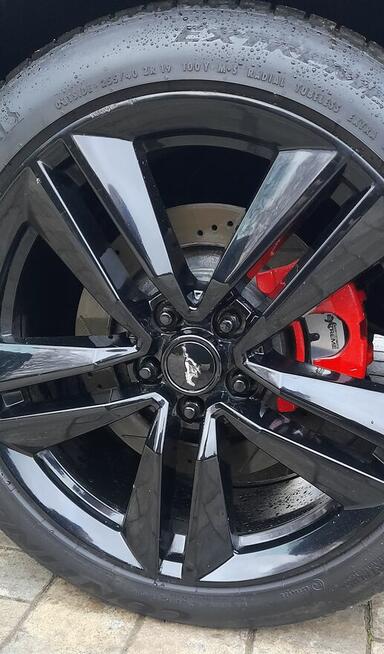 Mustang turbo, performance pack + premium pack + modyfikacje