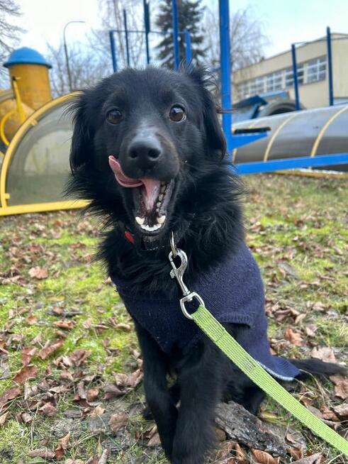 Kochany proludzki młodziak BŁAGA PILNIE o RATUNEK