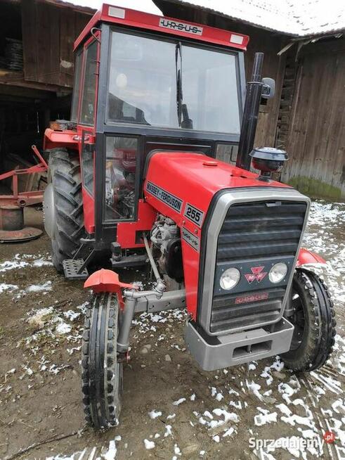 Ciągnik MF 255 1991 rok