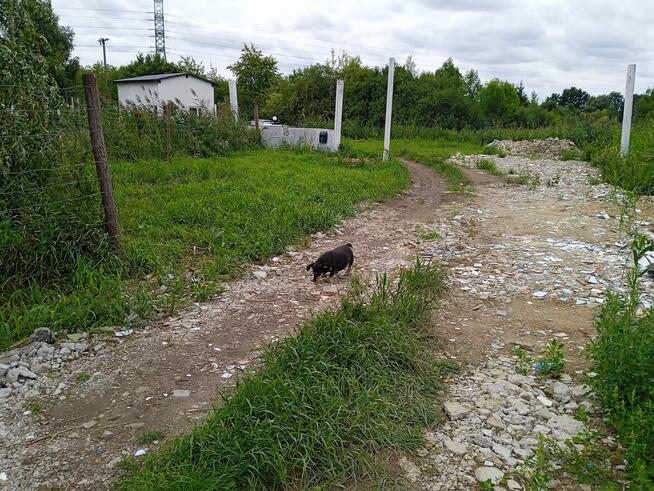 Dom Przejazdowo 6 km centrum Gdańsk