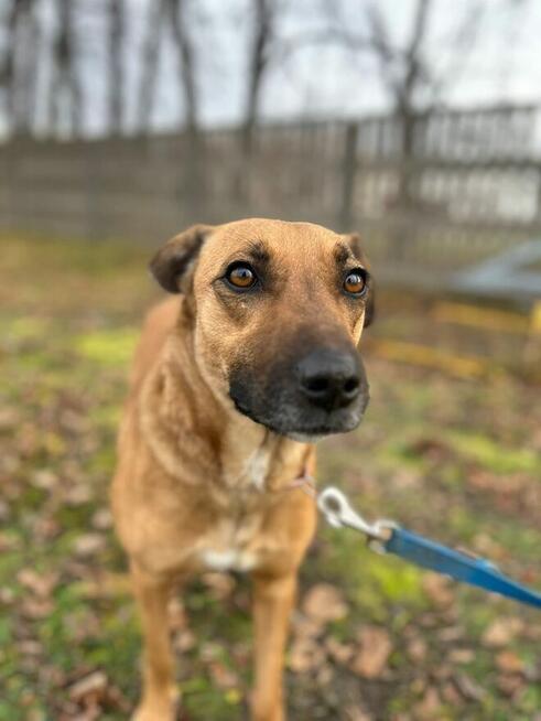 MOLLY proludzka Sunia spragniona miłość czeka na Ciebie