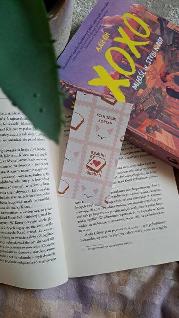 Zakładki Stray Kids