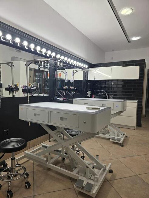 kurs strzyżenia psów Salon Pusia