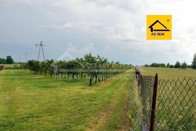 Działka budowlana Sławacinek Nowy gm. Biała Podlaska