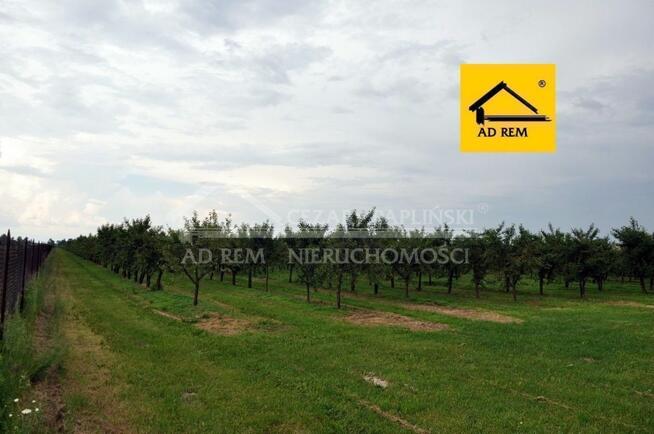 Działka budowlana Sławacinek Nowy gm. Biała Podlaska